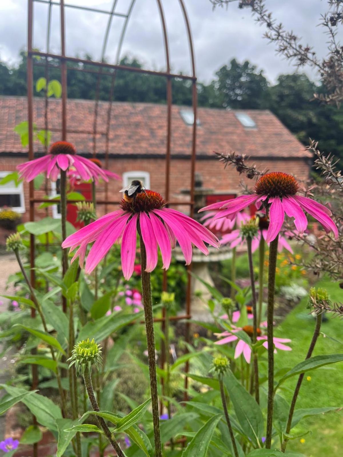 Home Farm & Lodge Bawtry Zewnętrze zdjęcie